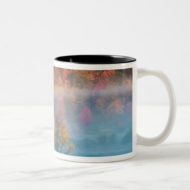 Caneca De Café Em Dois Tons EUA, Virgínia Ocidental, Davis. Vale enevoado e (Direita)