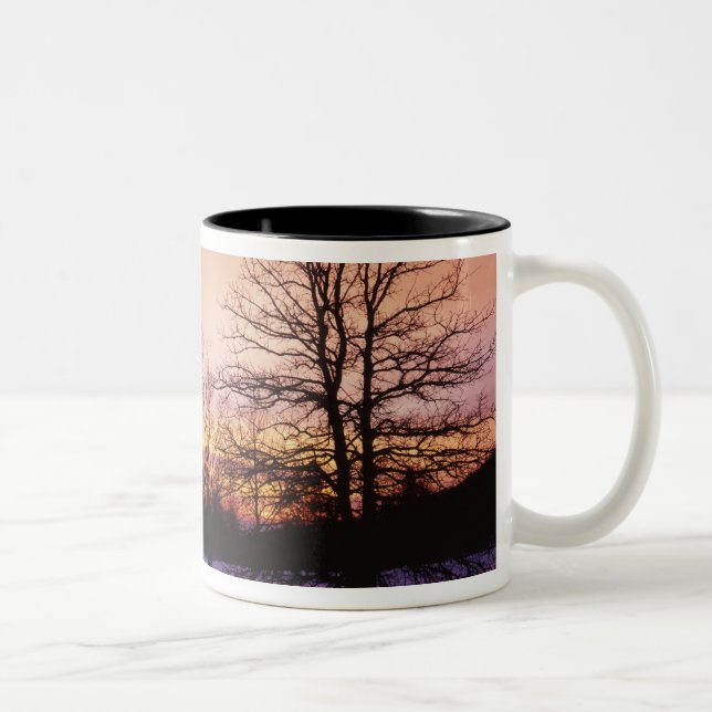 Caneca De Café Em Dois Tons EUA, Virgínia, Parque Nacional Shenandoah, (Direita)