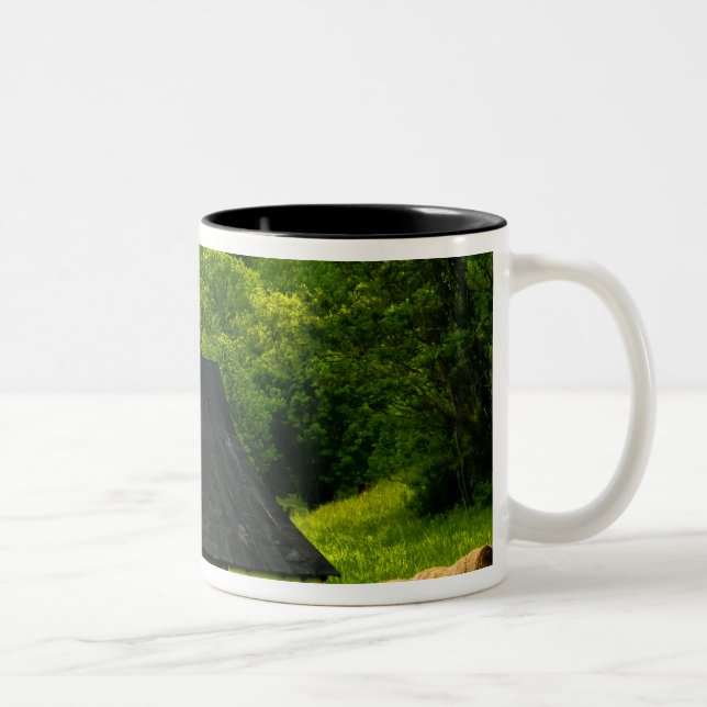 Caneca De Café Em Dois Tons EUA, Virgínia, Parque Nacional Shenandoah, 2 (Direita)