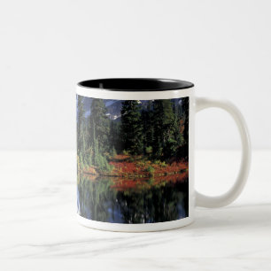Caneca De Café Em Dois Tons EUA, WA, Heather Meadows RA. Monte Shuksan em