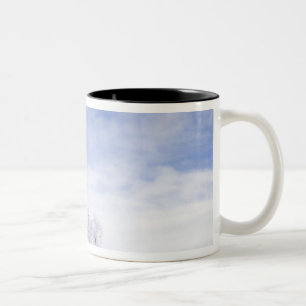 Caneca De Café Em Dois Tons EUA, Washington, Área de Palouse, Preto Geado