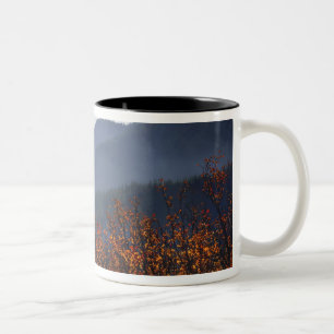 Caneca De Café Em Dois Tons EUA, Washington, Columbia River Gorge National