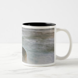 Caneca De Café Em Dois Tons EUA, Washington, Ilhas de San Juan. Ondas batem
