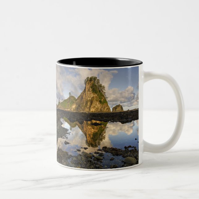 Caneca De Café Em Dois Tons EUA, Washington, Parque Nacional Olimpiadas.A (Direita)