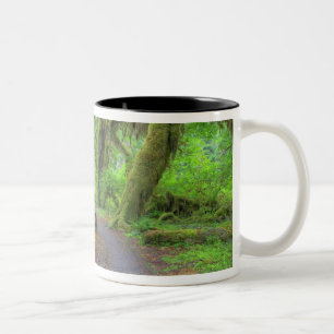 Caneca De Café Em Dois Tons EUA, Washington, Parque Nacional Olimpiadas, Hoh 2