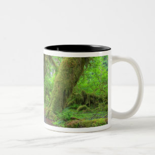 Caneca De Café Em Dois Tons EUA, Washington, Parque Nacional Olimpiadas, Hoh R