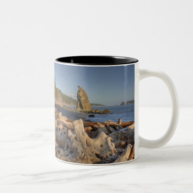 Caneca De Café Em Dois Tons EUA, Washington, Parque Nacional Olimpiadas, Rialt (Direita)