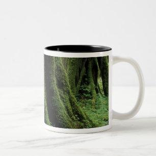 Caneca De Café Em Dois Tons EUA, Washington, Parque Nacional Olímpico, 2