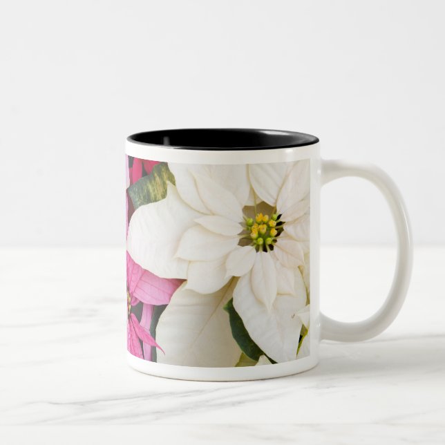 Caneca De Café Em Dois Tons EUA, Washington, Woodinville, Molbak's Nursery, 2 (Direita)