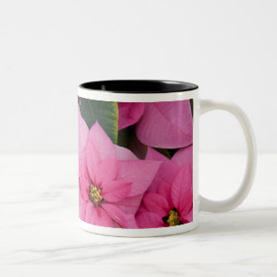 Caneca De Café Em Dois Tons EUA, Washington, Woodinville, Molbak's Nursery, 3