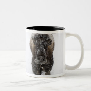 Caneca De Café Em Dois Tons EUA, WY, Parque Nacional de Yellowstone, Bisonte A