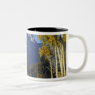 Caneca De Café Em Dois Tons EUA, Wyoming, Grand Teton NP. Teton Parkway