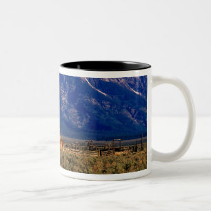 Caneca De Café Em Dois Tons EUA, Wyoming, Parque Nacional Grand Teton, Manhã