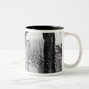 Caneca De Café Em Dois Tons Europa, Áustria, Salzburgo. Inverno,
