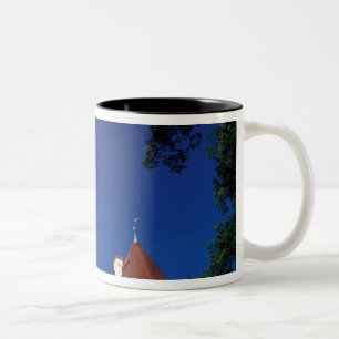 Caneca De Café Em Dois Tons Europa, Castelo Konopiste, República Checa, está