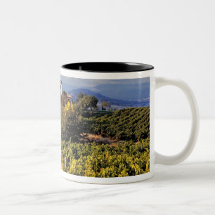 Caneca De Café Em Dois Tons Europa, França, Bonnieux. Vinhas cobrem o