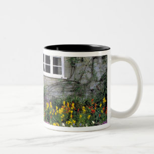 Caneca De Café Em Dois Tons Europa, Inglaterra, Teffont Magna. Flores enchem