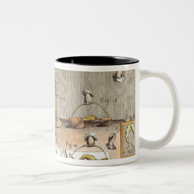 Caneca De Café Em Dois Tons Experiência em sapos (Direita)