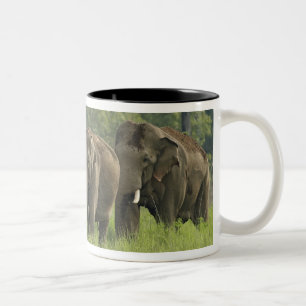 Caneca De Café Em Dois Tons Família de Elefantes Indianos