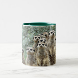 Caneca De Café Em Dois Tons Família Meerkat 01
