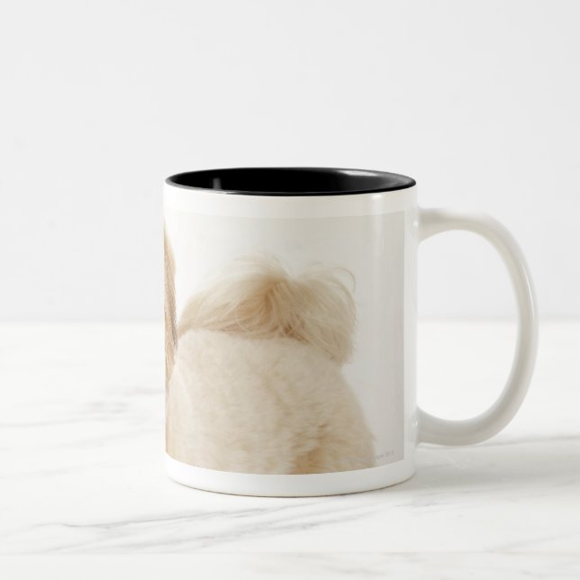 Caneca De Café Em Dois Tons Familiaris do Canis (Direita)