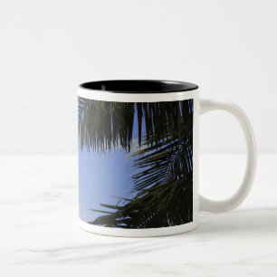 Caneca De Café Em Dois Tons Farol de Cabo da Flórida Bill Baggs, Bill Baggs 2