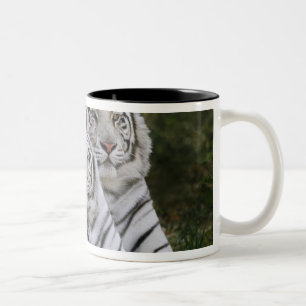 Caneca De Café Em Dois Tons Fase branca, tigre-de-bengala, Tigris