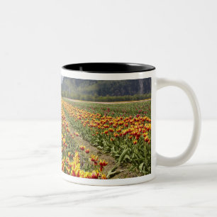Caneca De Café Em Dois Tons Fazenda de Tulipas perto de Agassiz, Colúmbia Brit