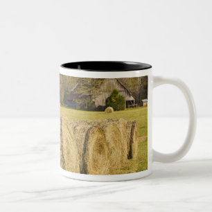 Caneca De Café Em Dois Tons Fazenda histórica no rio Buffalo National,
