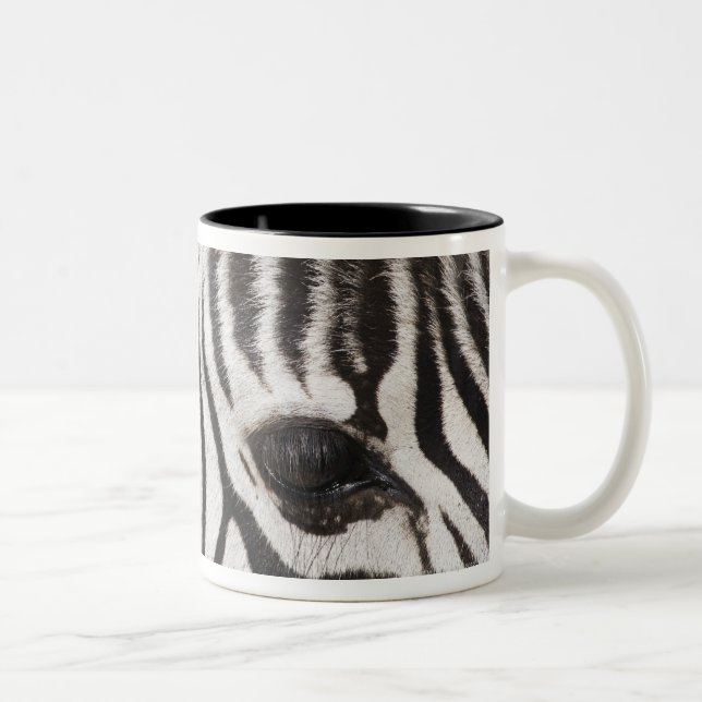 Caneca De Café Em Dois Tons Feche acima da zebra (Direita)