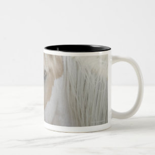 Caneca De Café Em Dois Tons Feche acima de um rebanho dos cavalos 2