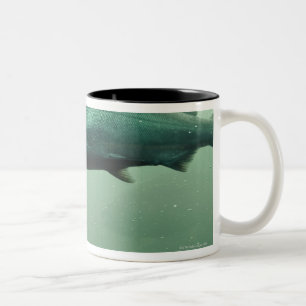 Caneca De Café Em Dois Tons Feche acima do tiro do corredor salmon