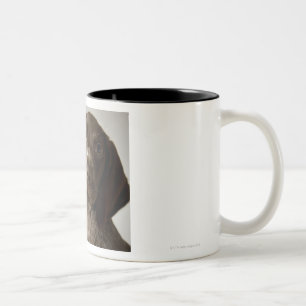 Caneca De Café Em Dois Tons Filhote de cachorro alemão do ponteiro de cabelos