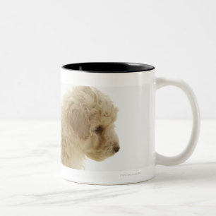 Caneca De Café Em Dois Tons Filhote de cachorro da caniche