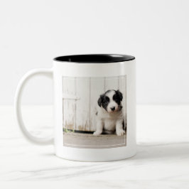Caneca De Café Em Dois Tons Filhote de cachorro de border collie