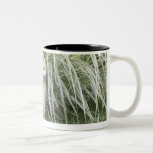 Caneca De Café Em Dois Tons Filhote de cachorro de Goldendoodle que senta-se