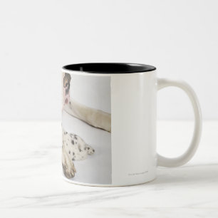 Caneca De Café Em Dois Tons Filhote de cachorro de great dane do Harlequin que
