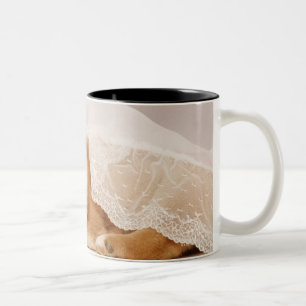 Caneca De Café Em Dois Tons Filhote de cachorro de Shiba Inu que dorme sob uma