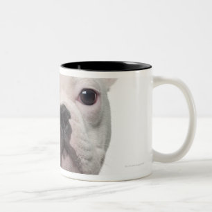 Caneca De Café Em Dois Tons Filhote de cachorro do buldogue francês (5 meses