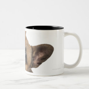 Caneca De Café Em Dois Tons Filhote de cachorro do buldogue francês (7 meses