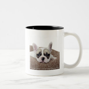 Caneca De Café Em Dois Tons Filhote de cachorro do buldogue francês que