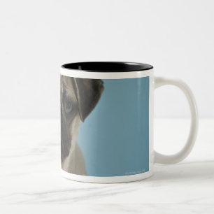 Caneca De Café Em Dois Tons Filhote de cachorro do Pug contra o fundo azul