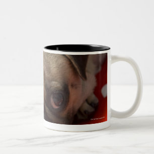 Caneca De Café Em Dois Tons Filhote de cachorro do Pug que encontra-se na