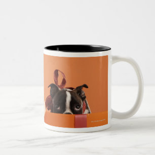 Caneca De Café Em Dois Tons Filhote de cachorro do terrier de Boston na caixa