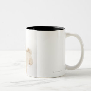 Caneca De Café Em Dois Tons Filhote de cachorro (familiaris do Canis) 2