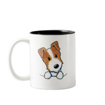 Filhote de Jack Russell