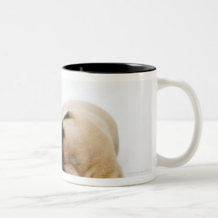 Caneca De Café Em Dois Tons Filhotes de cachorro de great dane que dormem de