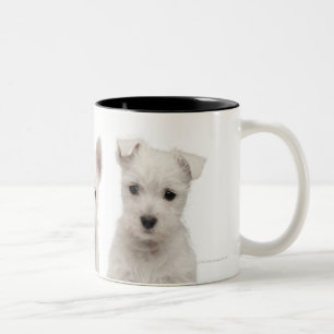 Caneca De Café Em Dois Tons Filhotes de cachorro ocidentais de Terrier das