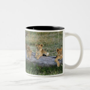 Caneca De Café Em Dois Tons Filhotes de Leão no Tronco