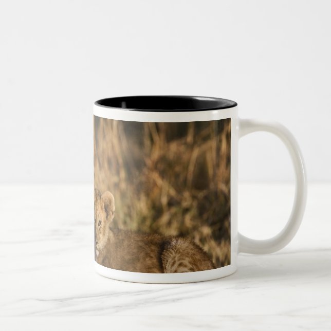 Caneca De Café Em Dois Tons Filhotes de Leão no Tronco (Direita)